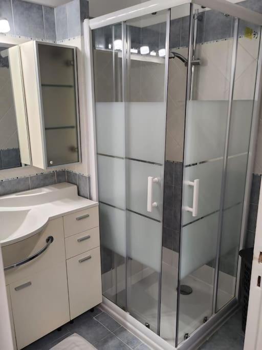 Appartement Ambassadeur ม็องตง ภายนอก รูปภาพ